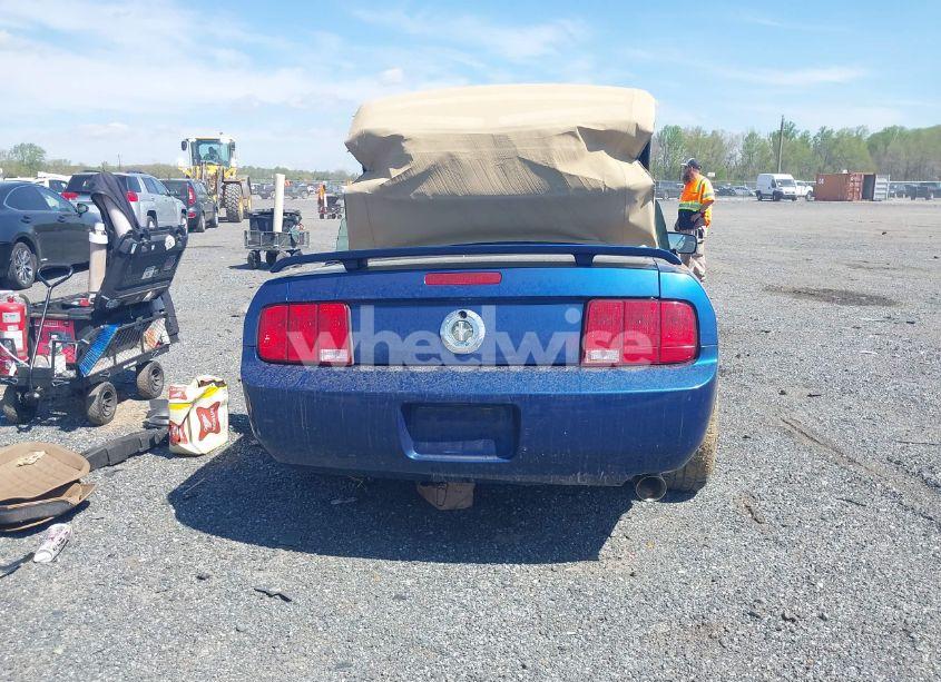 Photo 16 of 2006 Ford Mustang V6 (VIN 1ZVFT84N265125323)