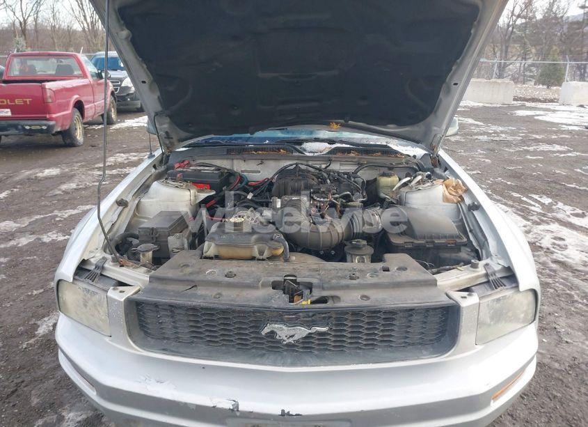 Photo 10 of 2006 Ford Mustang V6 (VIN 1ZVFT84N265143353)