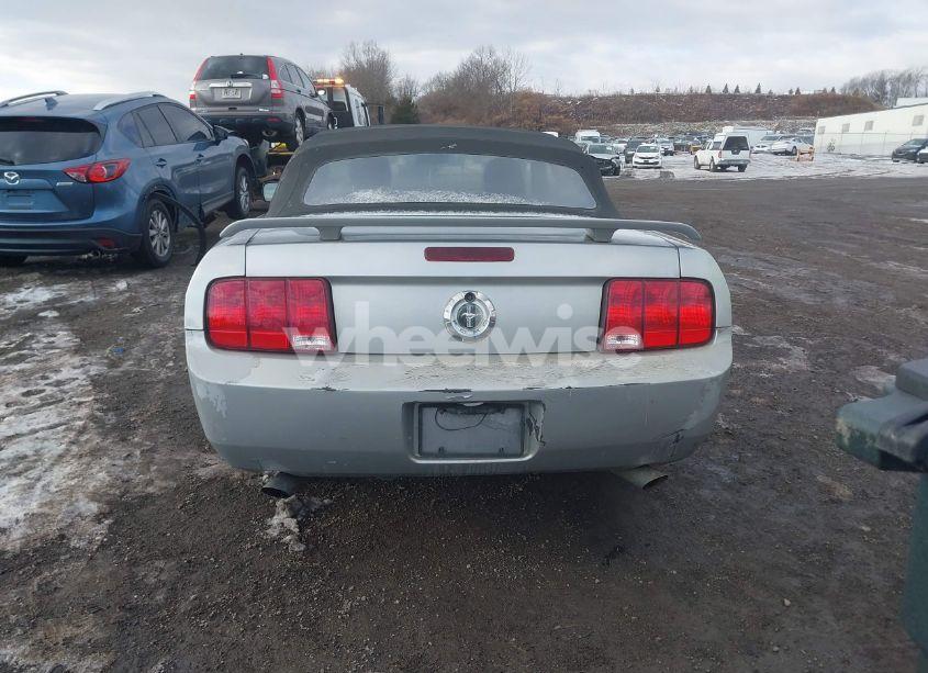 Photo 6 of 2006 Ford Mustang V6 (VIN 1ZVFT84N265143353)