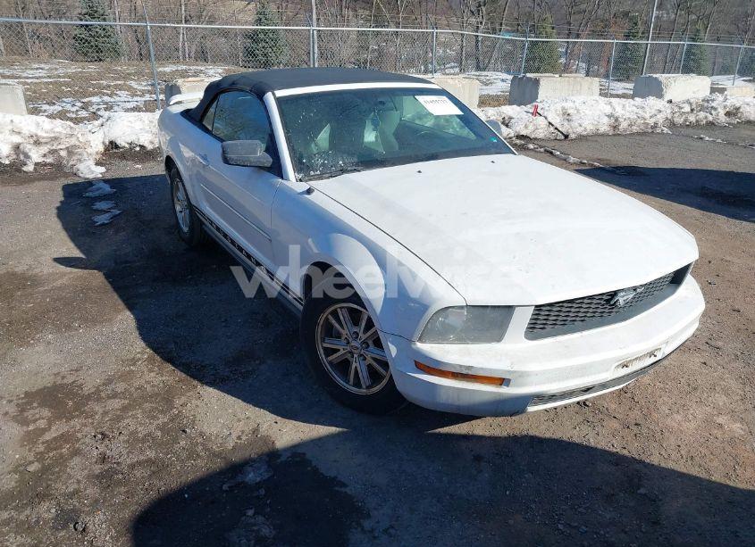 2006 Ford Mustang V6 (VIN 1ZVFT84N265200733) main photo