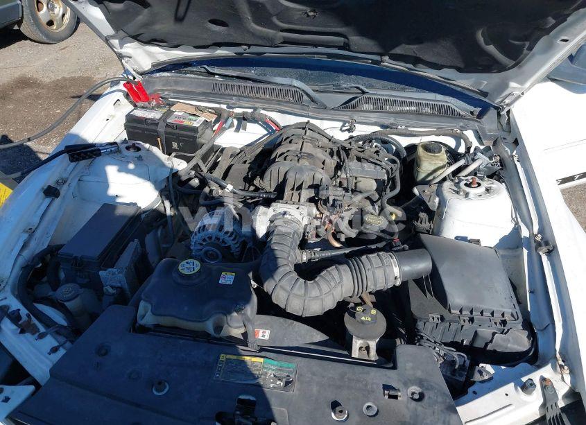 Photo 10 of 2006 Ford Mustang V6 (VIN 1ZVFT84N265200733)