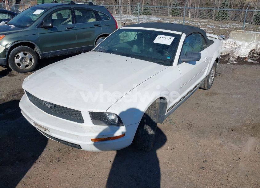 Photo 2 of 2006 Ford Mustang V6 (VIN 1ZVFT84N265200733)