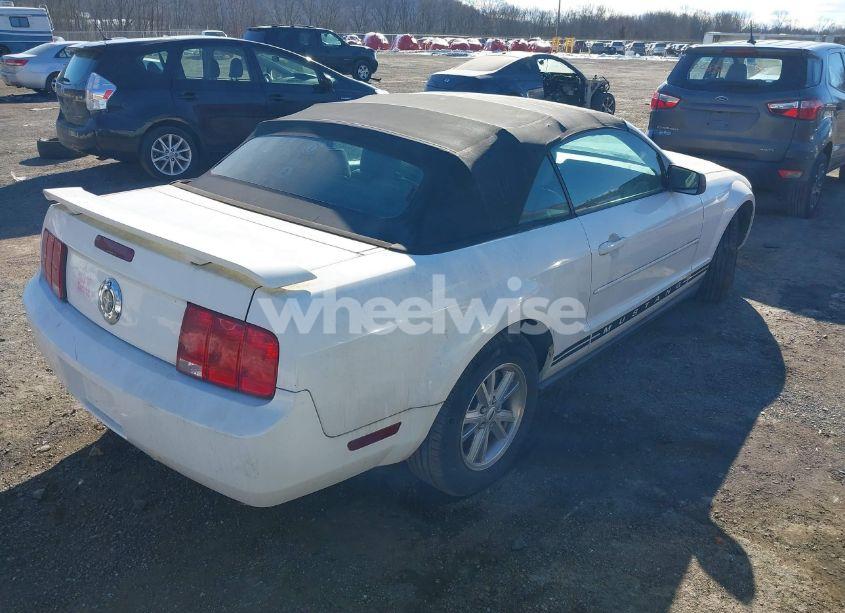 Photo 4 of 2006 Ford Mustang V6 (VIN 1ZVFT84N265200733)