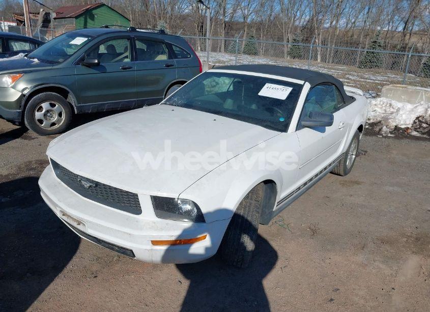 Photo 6 of 2006 Ford Mustang V6 (VIN 1ZVFT84N265200733)