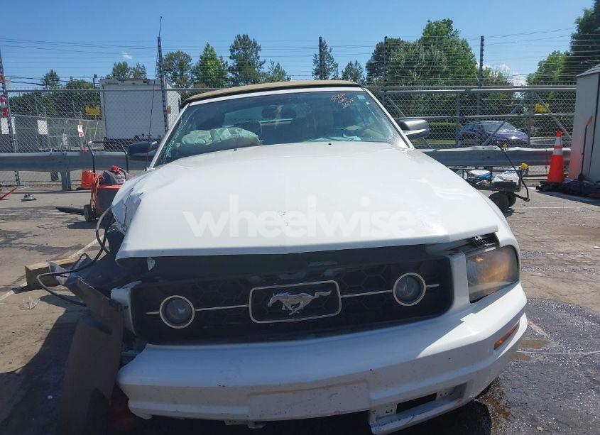 Photo 12 of 2007 Ford Mustang V6 DELUXE/V6 PREMIUM (VIN 1ZVFT84N275365683)