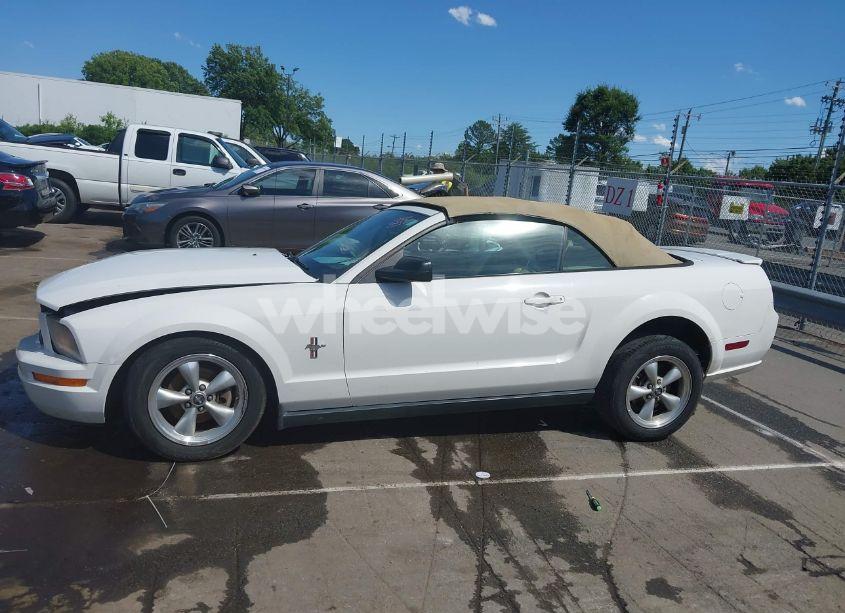 Photo 14 of 2007 Ford Mustang V6 DELUXE/V6 PREMIUM (VIN 1ZVFT84N275365683)