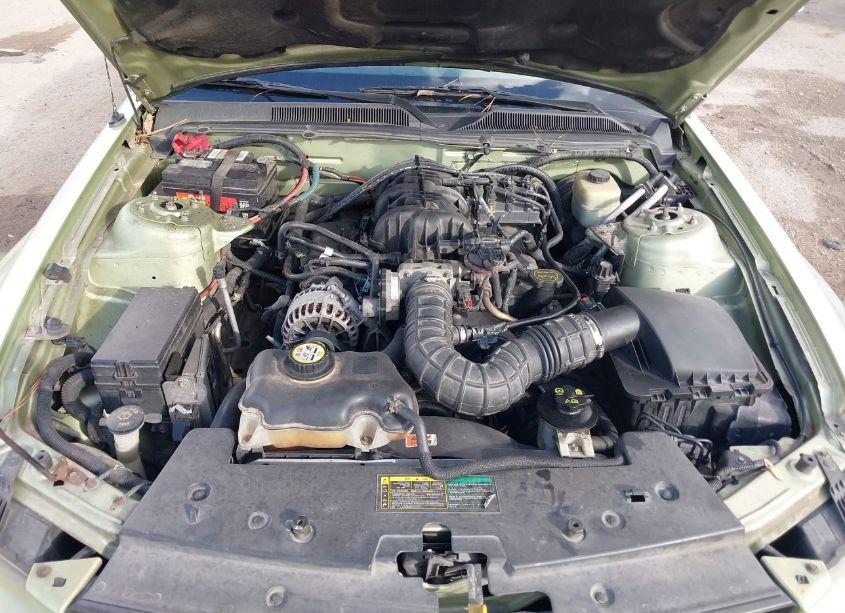 Photo 10 of 2005 Ford Mustang (VIN 1ZVFT84N355187294)