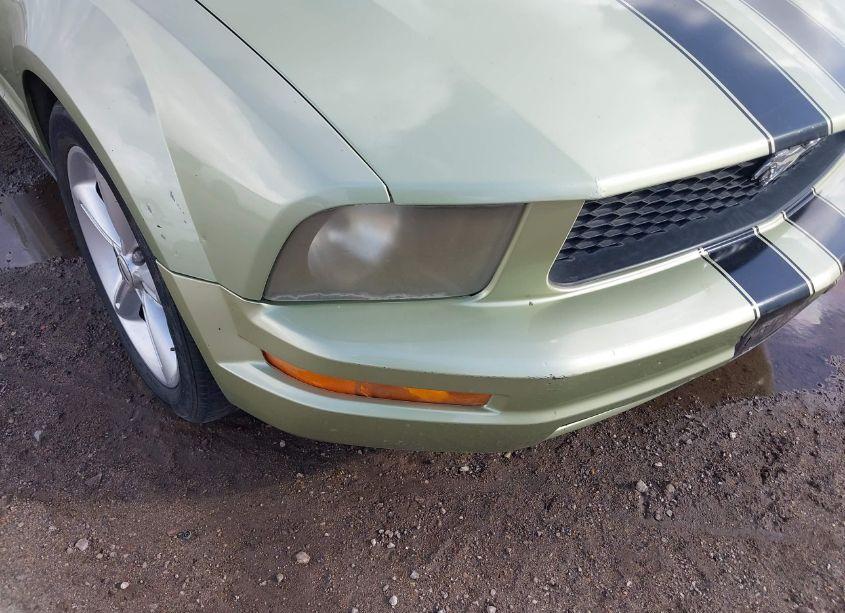 Photo 6 of 2005 Ford Mustang (VIN 1ZVFT84N355187294)