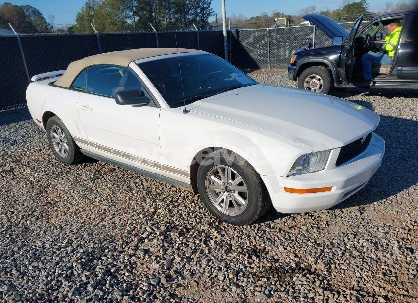 2006 Ford Mustang V6 (VIN 1ZVFT84N365188981) main photo