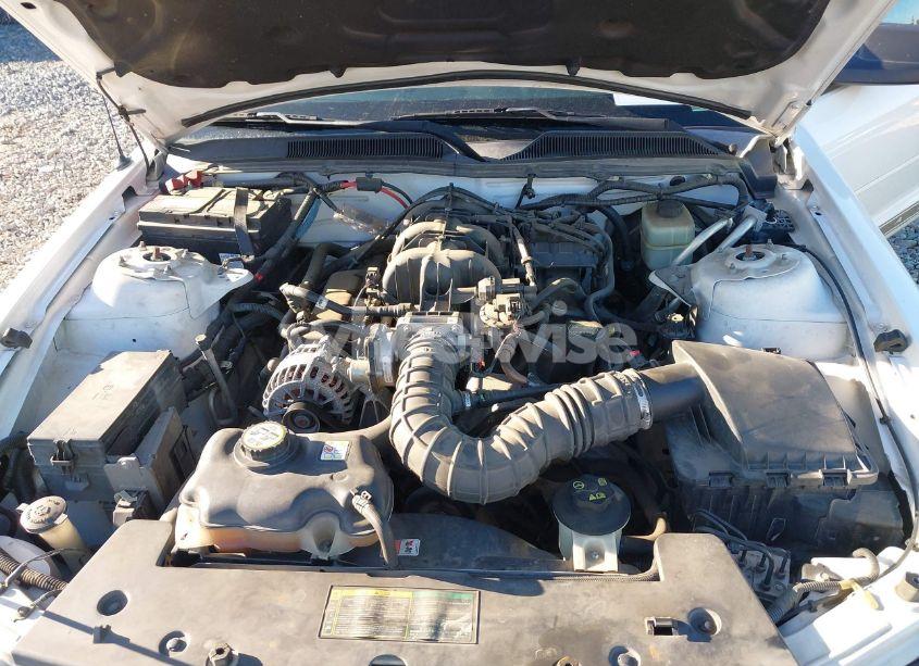 Photo 10 of 2006 Ford Mustang V6 (VIN 1ZVFT84N365188981)