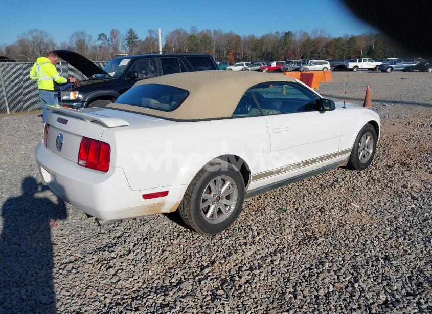 Photo 4 of 2006 Ford Mustang V6 (VIN 1ZVFT84N365188981)
