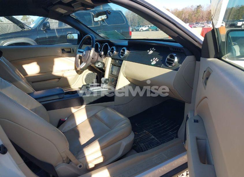 Photo 5 of 2006 Ford Mustang V6 (VIN 1ZVFT84N365188981)