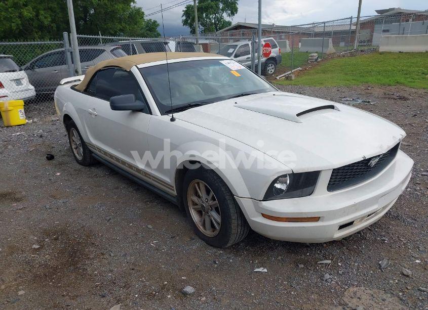 2006 Ford Mustang V6 (VIN 1ZVFT84N365218352) main photo