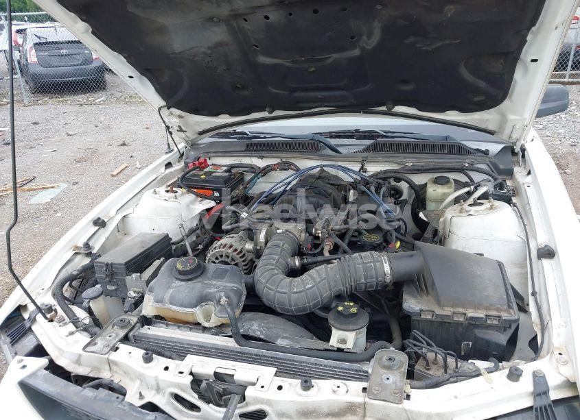 Photo 10 of 2006 Ford Mustang V6 (VIN 1ZVFT84N365218352)