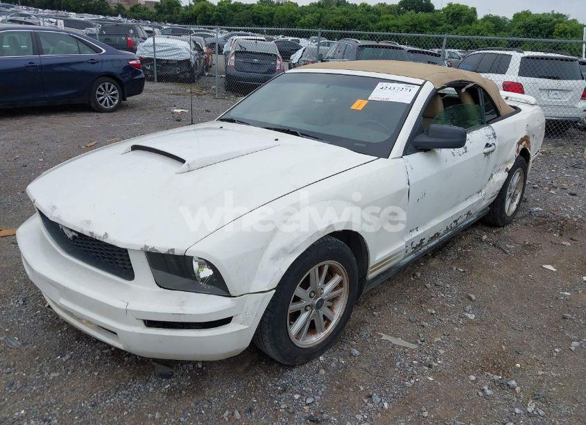 Photo 2 of 2006 Ford Mustang V6 (VIN 1ZVFT84N365218352)