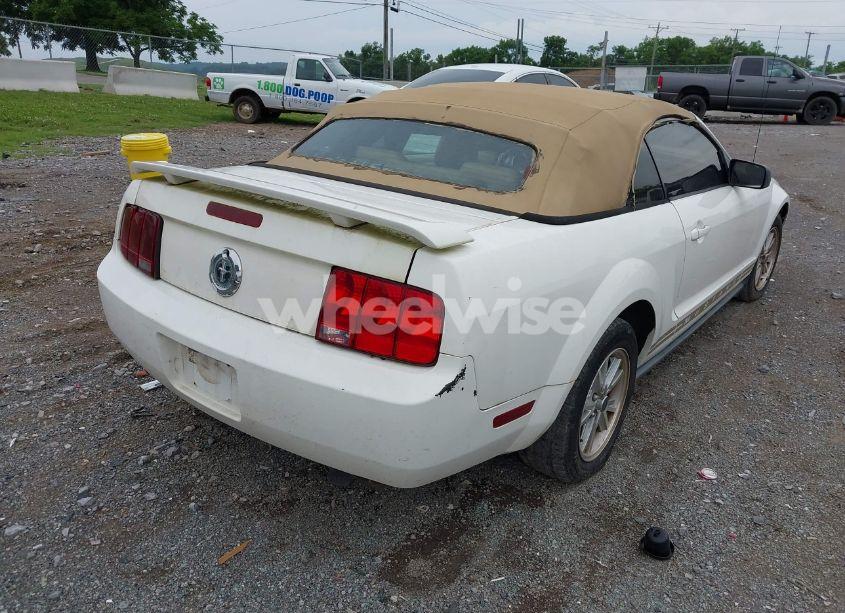 Photo 4 of 2006 Ford Mustang V6 (VIN 1ZVFT84N365218352)
