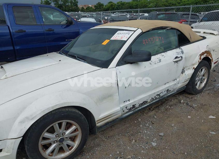 Photo 6 of 2006 Ford Mustang V6 (VIN 1ZVFT84N365218352)