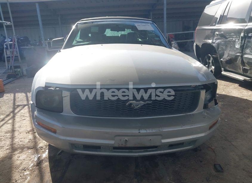 Photo 12 of 2007 Ford Mustang V6 DELUXE/V6 PREMIUM (VIN 1ZVFT84N375205957)