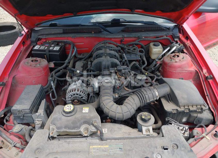 Photo 10 of 2007 Ford Mustang V6 DELUXE/V6 PREMIUM (VIN 1ZVFT84N375235279)