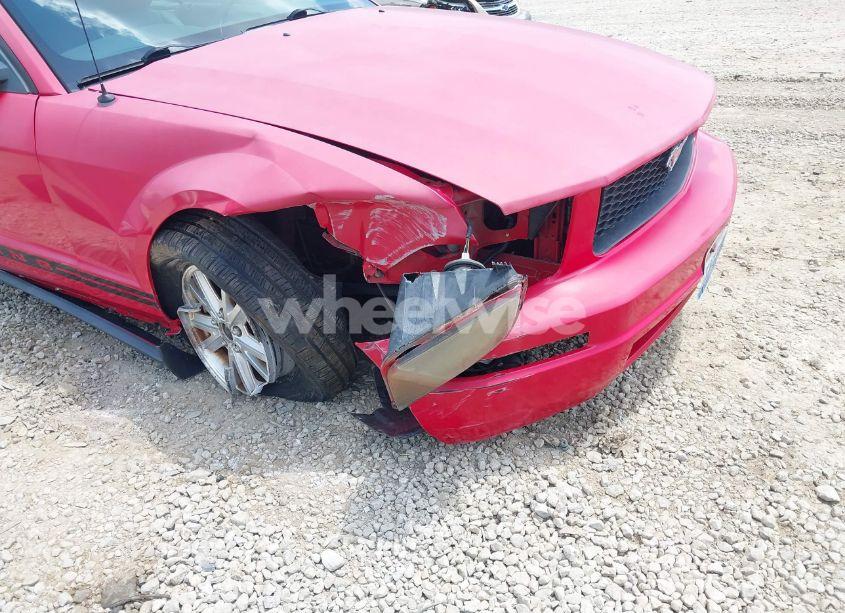 Photo 6 of 2007 Ford Mustang V6 DELUXE/V6 PREMIUM (VIN 1ZVFT84N375235279)