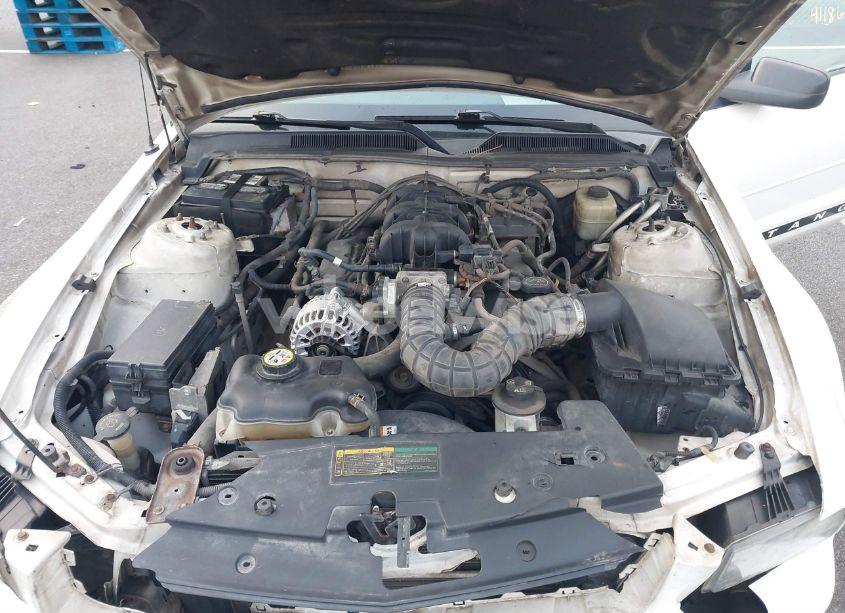 Photo 10 of 2007 Ford Mustang V6 DELUXE/V6 PREMIUM (VIN 1ZVFT84N375303614)