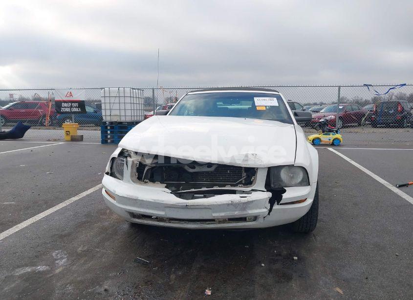 Photo 12 of 2007 Ford Mustang V6 DELUXE/V6 PREMIUM (VIN 1ZVFT84N375303614)