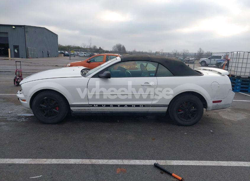 Photo 14 of 2007 Ford Mustang V6 DELUXE/V6 PREMIUM (VIN 1ZVFT84N375303614)