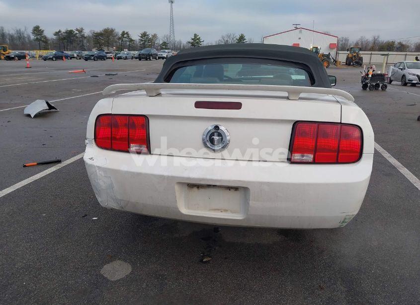 Photo 16 of 2007 Ford Mustang V6 DELUXE/V6 PREMIUM (VIN 1ZVFT84N375303614)