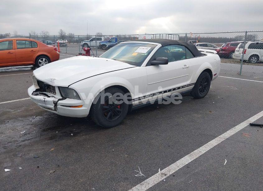 Photo 2 of 2007 Ford Mustang V6 DELUXE/V6 PREMIUM (VIN 1ZVFT84N375303614)
