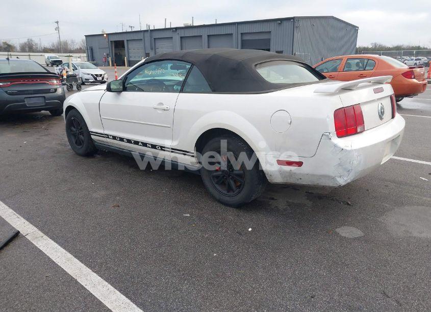 Photo 3 of 2007 Ford Mustang V6 DELUXE/V6 PREMIUM (VIN 1ZVFT84N375303614)