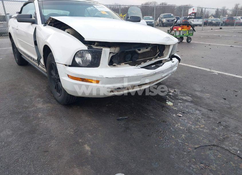 Photo 6 of 2007 Ford Mustang V6 DELUXE/V6 PREMIUM (VIN 1ZVFT84N375303614)