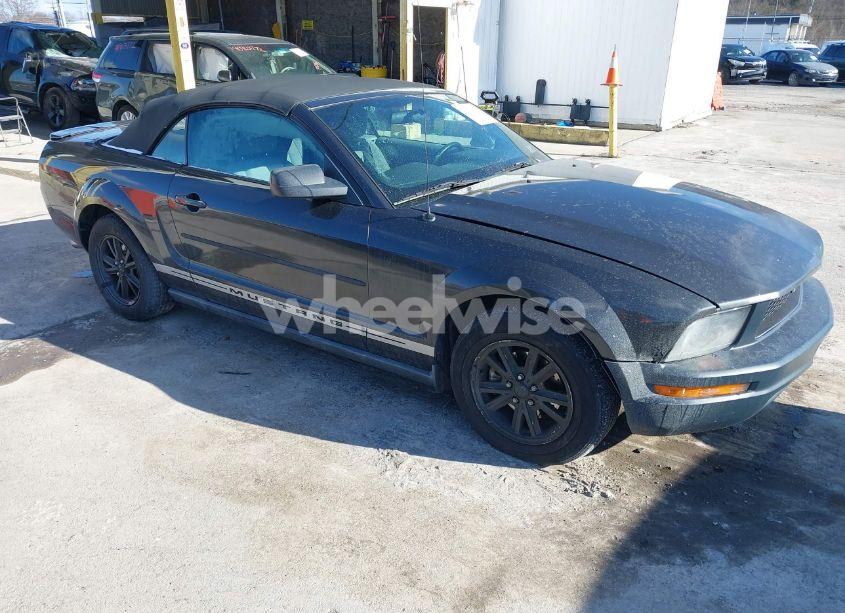 2007 Ford Mustang V6 DELUXE/V6 PREMIUM (VIN 1ZVFT84N375333373) main photo