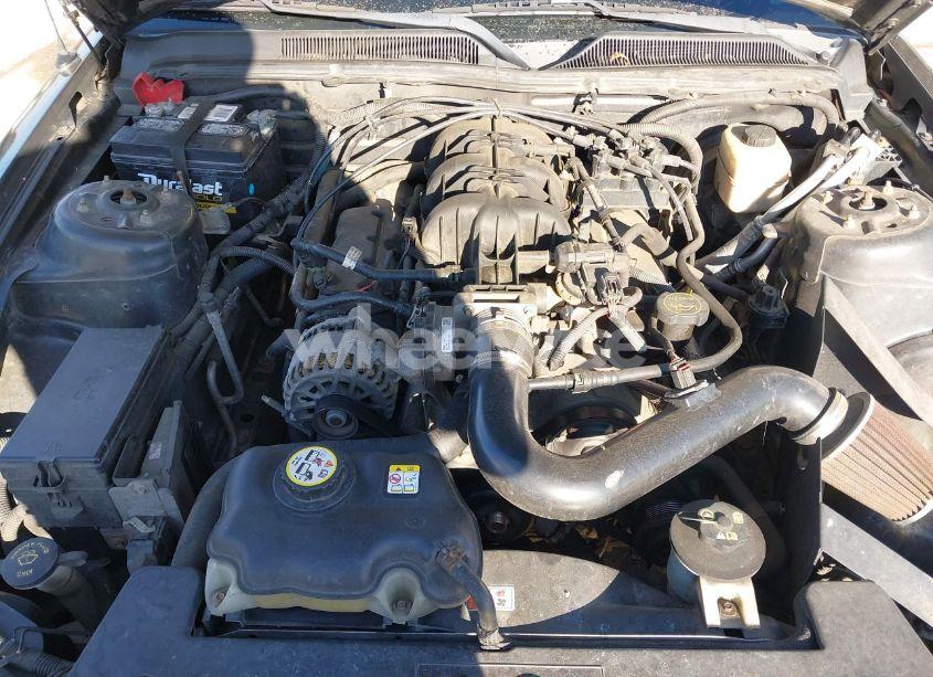 Photo 10 of 2007 Ford Mustang V6 DELUXE/V6 PREMIUM (VIN 1ZVFT84N375333373)