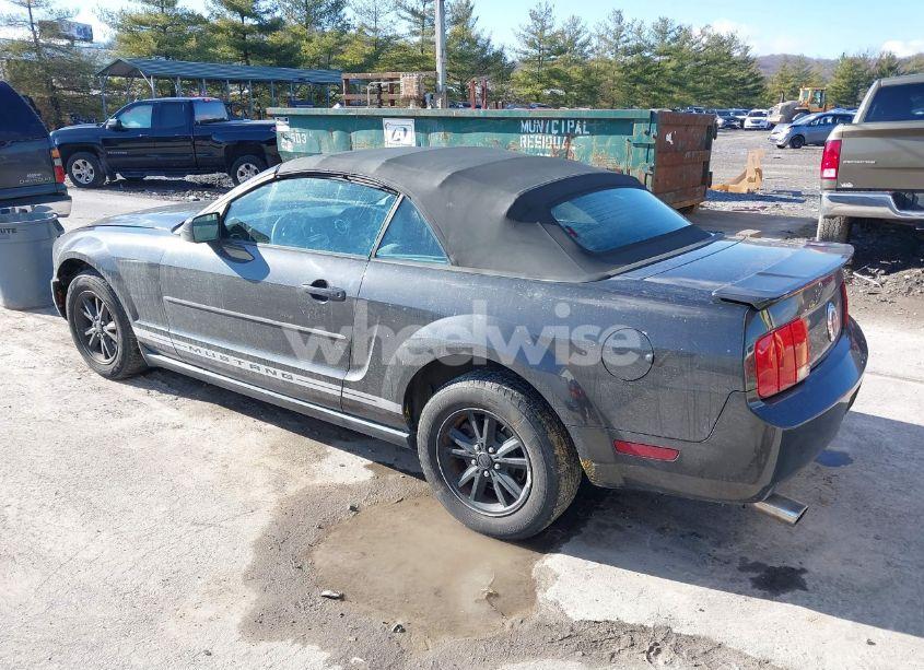 Photo 3 of 2007 Ford Mustang V6 DELUXE/V6 PREMIUM (VIN 1ZVFT84N375333373)
