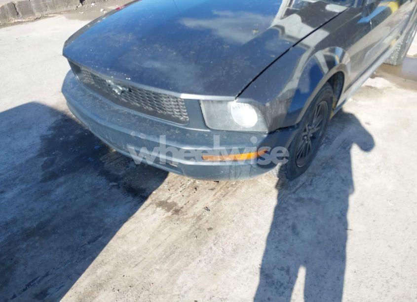 Photo 6 of 2007 Ford Mustang V6 DELUXE/V6 PREMIUM (VIN 1ZVFT84N375333373)