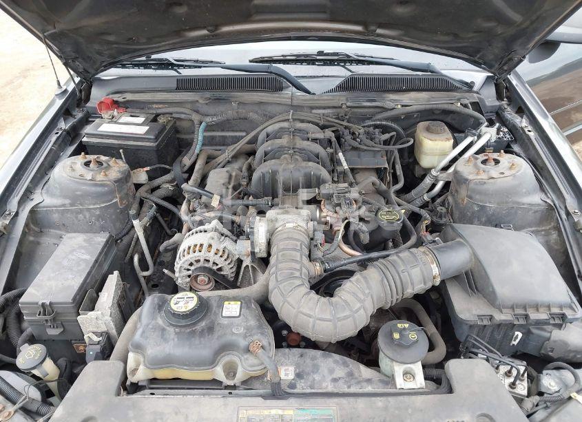 Photo 10 of 2007 Ford Mustang V6 DELUXE/V6 PREMIUM (VIN 1ZVFT84N375333468)