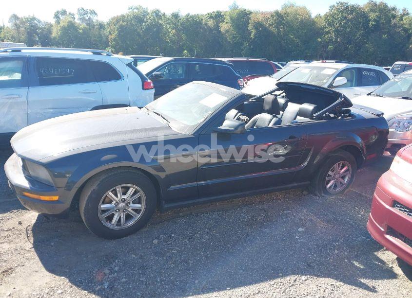 Photo 17 of 2007 Ford Mustang V6 DELUXE/V6 PREMIUM (VIN 1ZVFT84N375333468)
