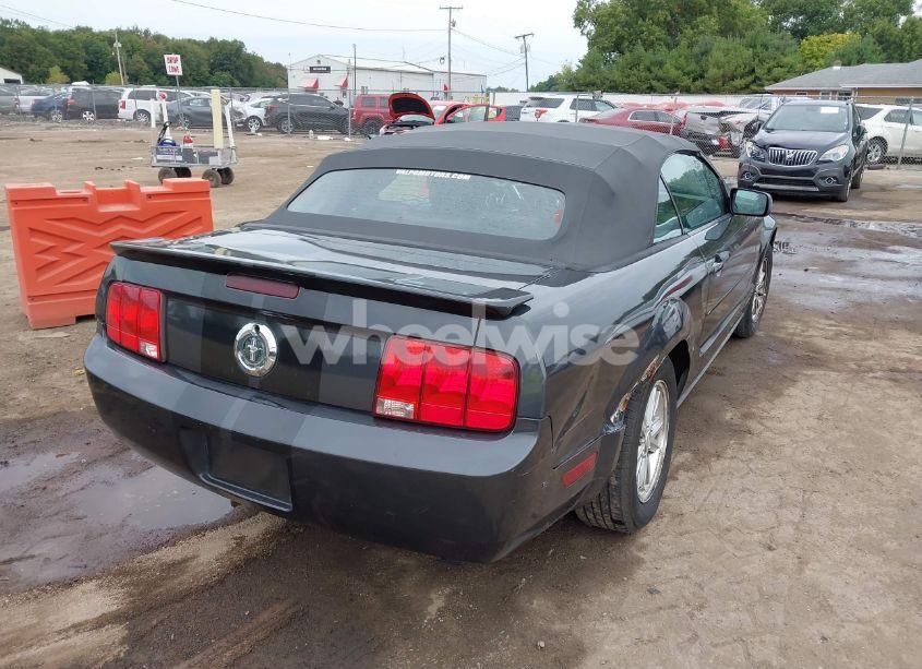 Photo 4 of 2007 Ford Mustang V6 DELUXE/V6 PREMIUM (VIN 1ZVFT84N375333468)