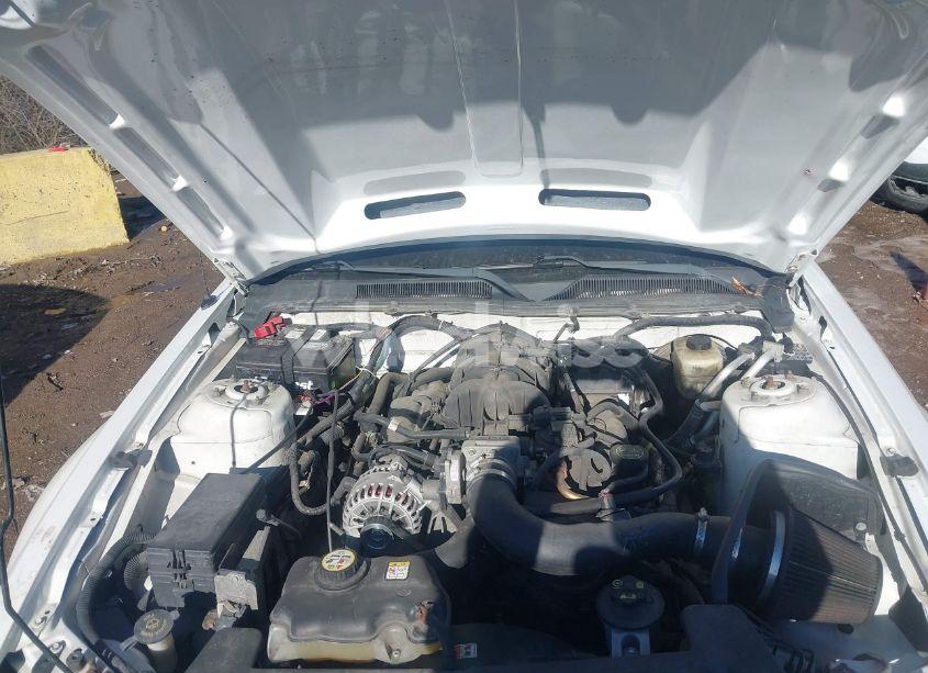 Photo 10 of 2007 Ford Mustang V6 DELUXE/V6 PREMIUM (VIN 1ZVFT84N375348908)