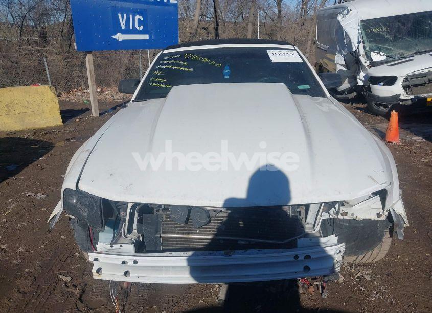 Photo 13 of 2007 Ford Mustang V6 DELUXE/V6 PREMIUM (VIN 1ZVFT84N375348908)