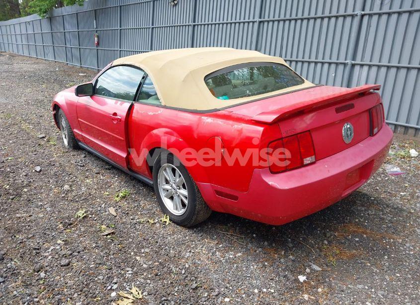 Photo 3 of 2005 Ford Mustang (VIN 1ZVFT84N455215653)