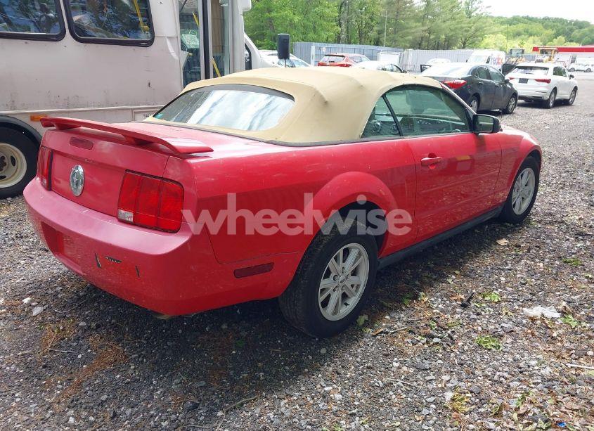 Photo 4 of 2005 Ford Mustang (VIN 1ZVFT84N455215653)