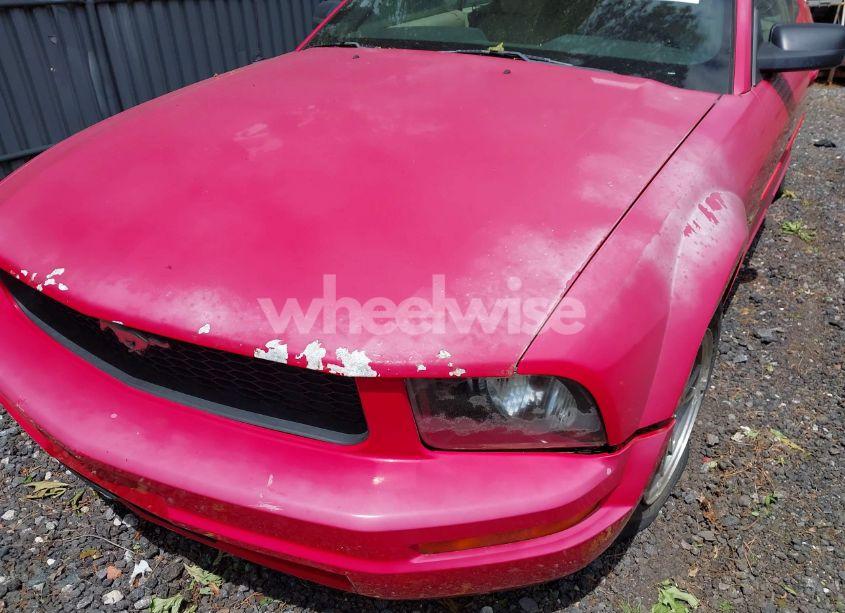 Photo 6 of 2005 Ford Mustang (VIN 1ZVFT84N455215653)