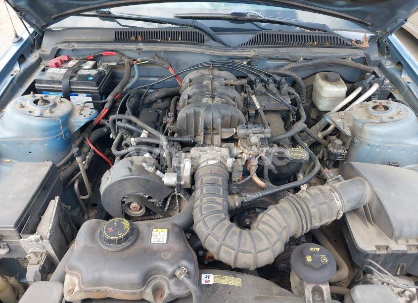 Photo 10 of 2005 Ford Mustang (VIN 1ZVFT84N555175518)