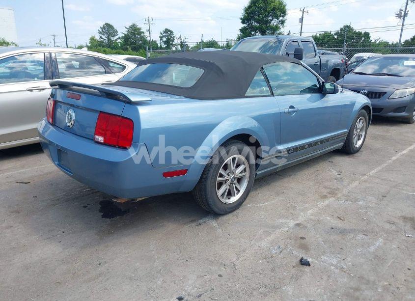 Photo 4 of 2005 Ford Mustang (VIN 1ZVFT84N555175518)