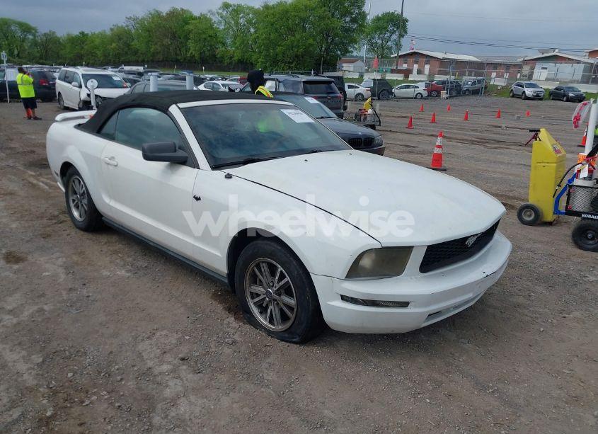2005 Ford Mustang (VIN 1ZVFT84N555189452) main photo