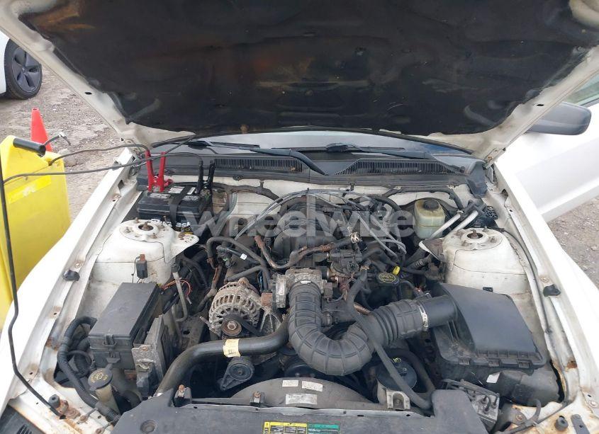 Photo 10 of 2005 Ford Mustang (VIN 1ZVFT84N555189452)