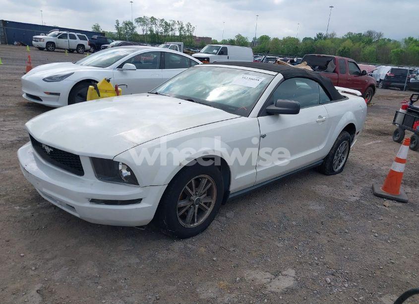 Photo 2 of 2005 Ford Mustang (VIN 1ZVFT84N555189452)