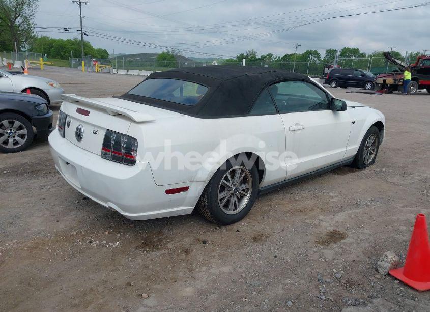Photo 4 of 2005 Ford Mustang (VIN 1ZVFT84N555189452)