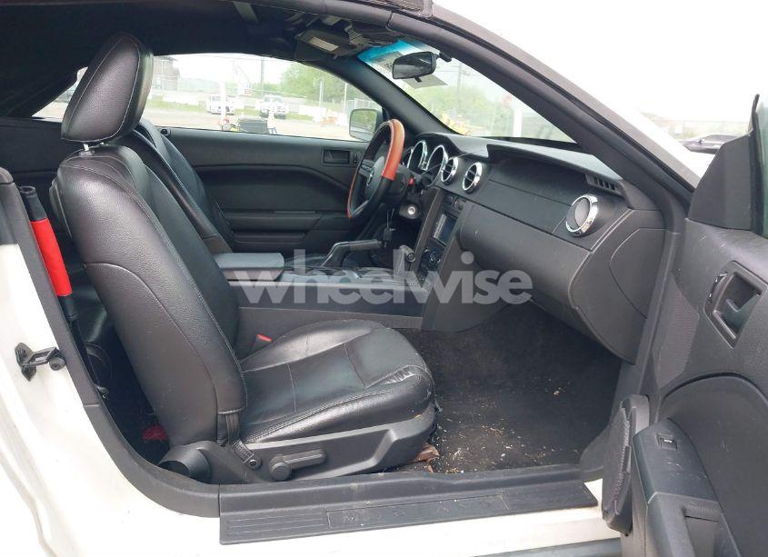 Photo 5 of 2005 Ford Mustang (VIN 1ZVFT84N555189452)